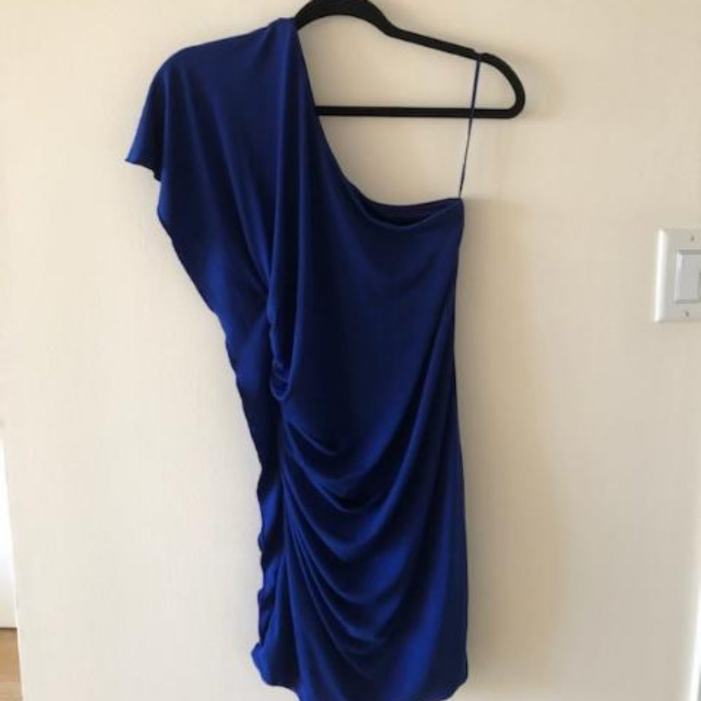 Express  Blue Dress